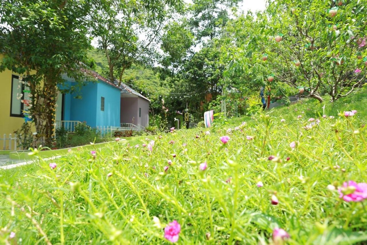 Windy Hill Catba Homestay Hai Phong Kültér fotó