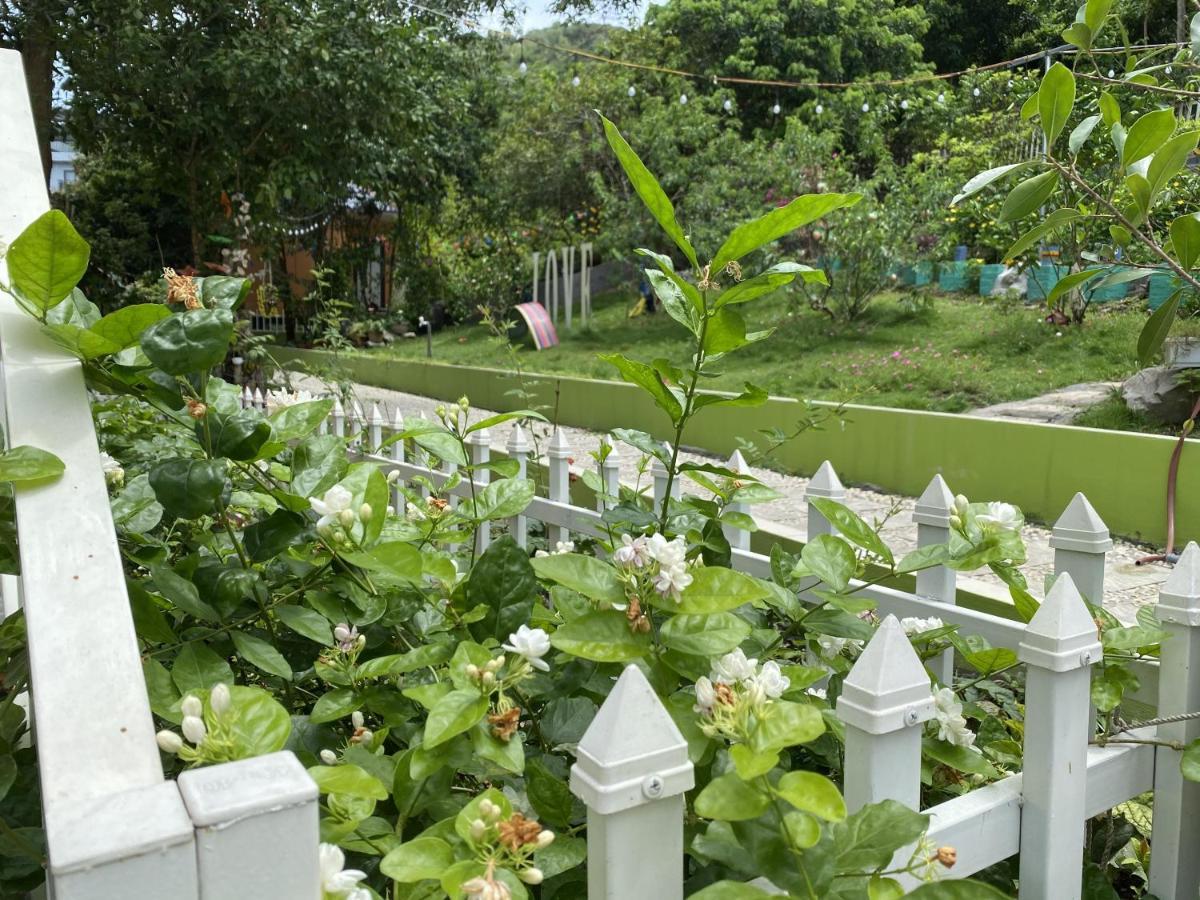 Windy Hill Catba Homestay Hai Phong Kültér fotó